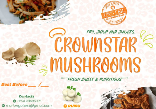 Crownstar Mushrooms 